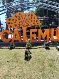 WhatsApp Image 2026-01-21 at 18.24.26